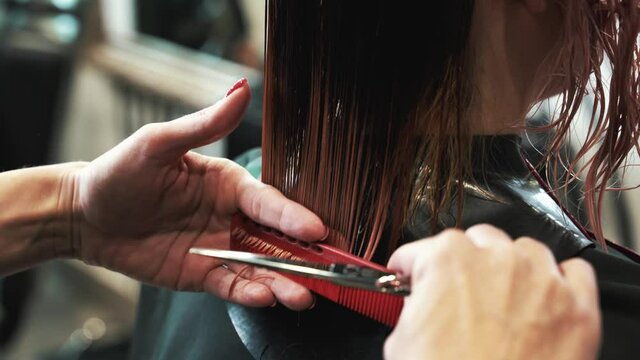 The hairdresser's hands with scissors cut and mill the hair in salon. Women's haircut and hairstyle. Close-up