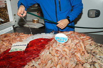Pescadero regando el marisco en puesto del mercado.