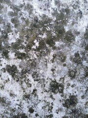 snow on the wall