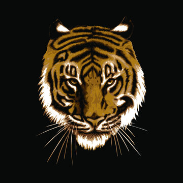 Vector isolated image of tiger head on black background.