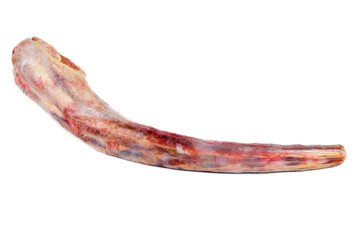 Raw oxtail isolated on a white background