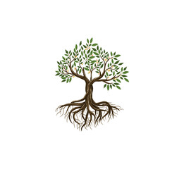 vibrant tree vector art, tree and roots illustrations isolated on white