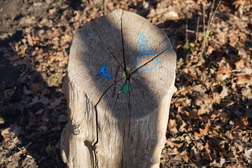 Rollstuhlgerechter Wanderweg, Wegmarkierung auf einem Baumstumpf am Havelhöhenweg im Grunewald in Berlin