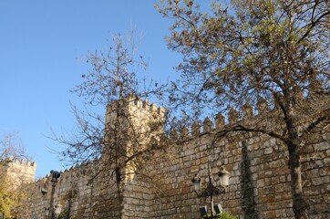 Trees and ancient wall in Sevilla, Andalusia, Spain