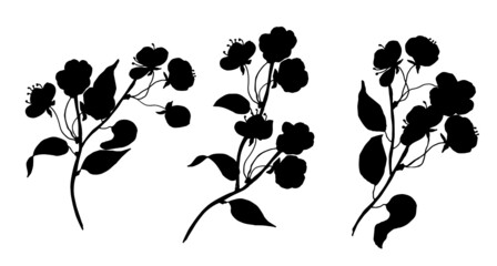 Branch with cherry flowers. Vector illustration. Black silhouette.