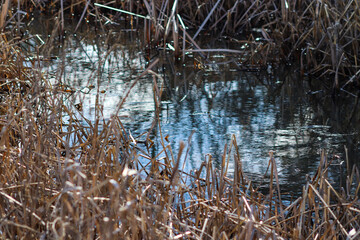 River over flow along the Platte river in Nebraska