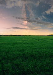 Obraz premium Green field at night with milky way and clouds 