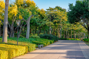 Fototapeta na wymiar A city park in Xiamen, Fujian province, China.