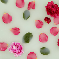 Bath with rose petal background. Flat lay with flower petal and green leaf. Abstract spa with milk and flower. Creative wellness layout