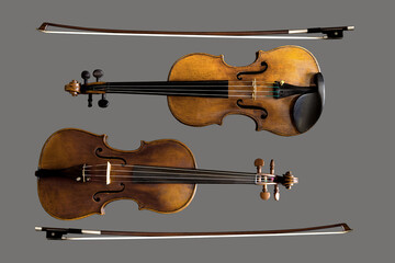 violini