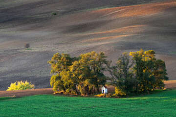 colours and shapes of fields in autumn