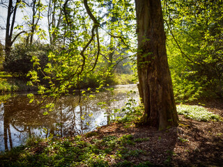 park of the mansion Haseldorf, Haseldorfer Marsch, Niederelbe, Schleswig Holstein, Germany
