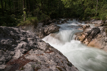 Naklejka premium Zauberwald Ramsau