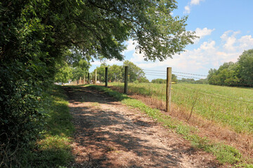 path along the pasture