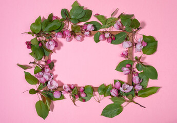 Lot of fresh blooming apple tree twigs or cherry on wooden frame with copy space inside on pink backdrop. Holiday Mother's day, Valentine's Day, Birthday floral concept. Top view, flat lay.