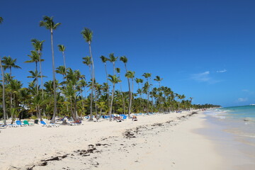 travel, 