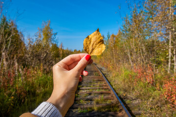 hand holding autumn leaves