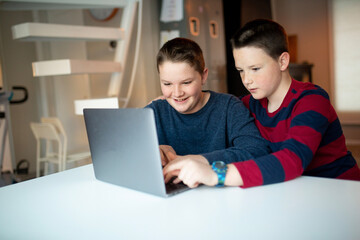 brothers using a laptop computer