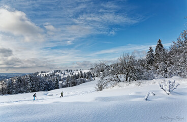 en raquettes dans les Vosges