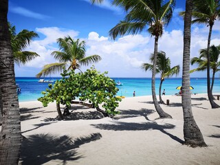 Caribean © Bartomiej