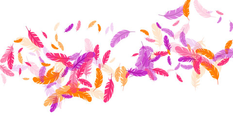 Orange purple pink red feather floating background © SunwArt