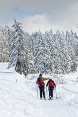 Fototapeta na wymiar ski de randonnée dans les Vosges