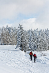 ski de randonnée dans les Vosges