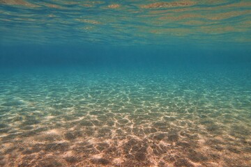 Fototapeta na wymiar Underwater view, sandy sea bottom and transparent water. Life-giving sunlight underwater.