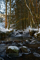 Ruisseau de montagne en hiver