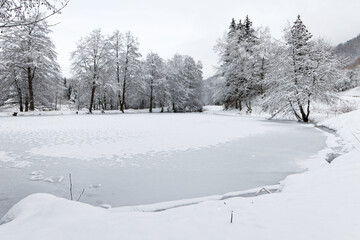 étang gelé en hiver