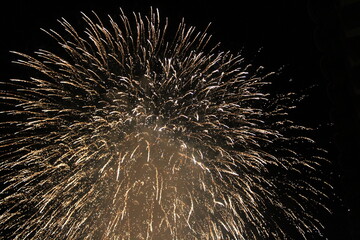 Fototapeta premium Fuegos artificiales en una noche oscura