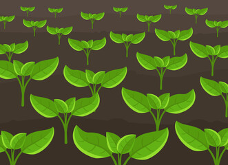 Growing young plant shoots. Agricultural seedlings field landscape. Crops began to green sprout in the spring brown soil. Vector illustration.