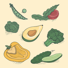 Hand drawn vintage vegetables set.