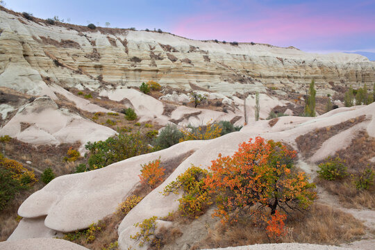Panorama of unique geological formations in White valley at sunset in autumn. Cappadocia, Central Anatolia, Turkey
