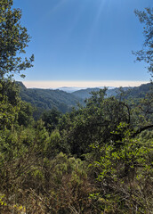 Obraz premium View of mountains with low fog