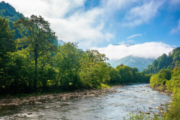 Fototapeta na wymiar mountain river landscape in summer. wonderful nature scenery on foggy morning. clouds rolling over the distant hill. trees along the stream in the valley. sunny weather with blue sky