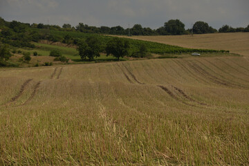 Autumn fields in Kyjov region of Moravia