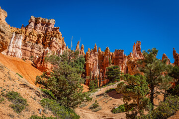 Naklejka premium Bryce Canyon National Park