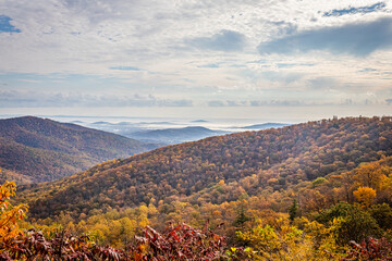 Foggy Autumn Morning at Shenandoah National Park