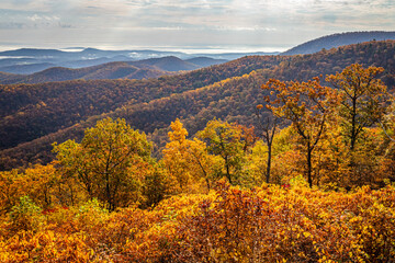 Autumn View of Shenandoah National Park