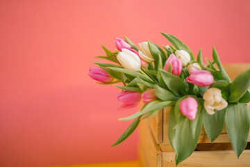 Tulips on a pink background for a Womens Day, Mother Day, 8 march or Valentines day. The concept of holidays and good morning wishes.