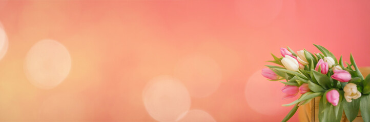 Banner for a Women s day, 8 march or Valentines day. Tulips on a pink background. The concept of holidays and good morning wishes.