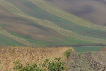Obraz premium Autumn fields in Kyjov region of Moravia