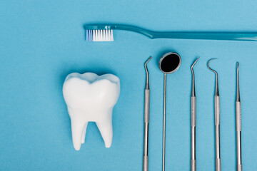 Top view of tooth model near toothbrush and dental tools on blue background