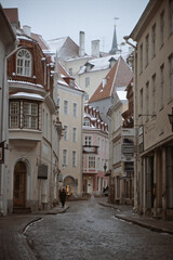 Fototapeta na wymiar Wintertag in Tallinn
