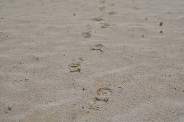 Lonely footprints in the sand dunes disappearing into the distance close to Nuland, Netherlands