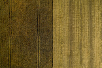 Beautiful aerial view of cultivated field on sunny day. Agriculture industry