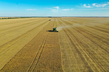 Modern combine harvester working in field on sunny day. Agriculture industry