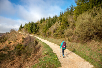 Obraz premium Pilgrim Girl Hiking Forest Hill outside O Cebreiro Spain along the Way of St James Camino de Santiago Pilgrimage Trail
