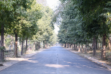 road in the park